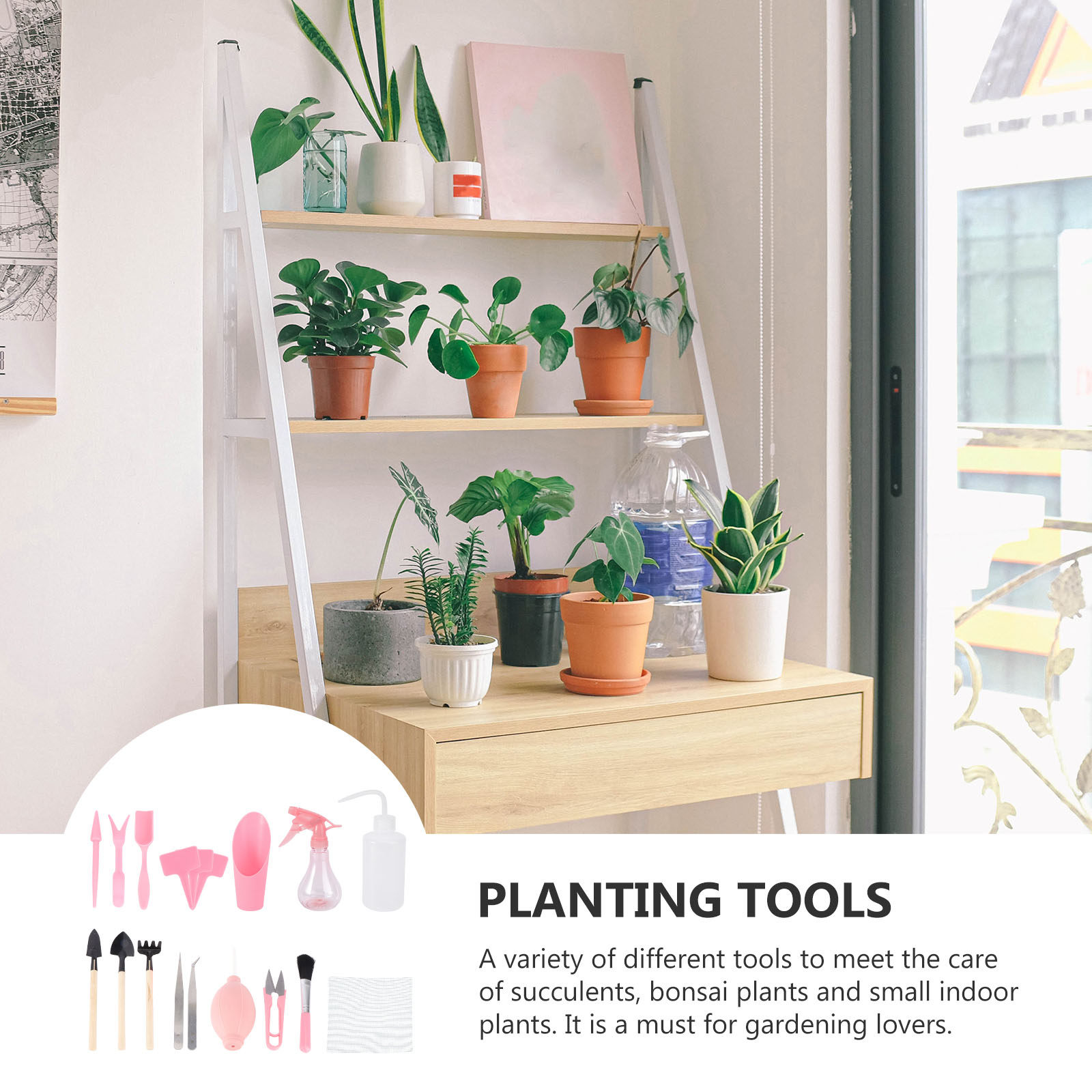 1Set Mini Succulent Planting T - Succulent Set ulasan dan harga