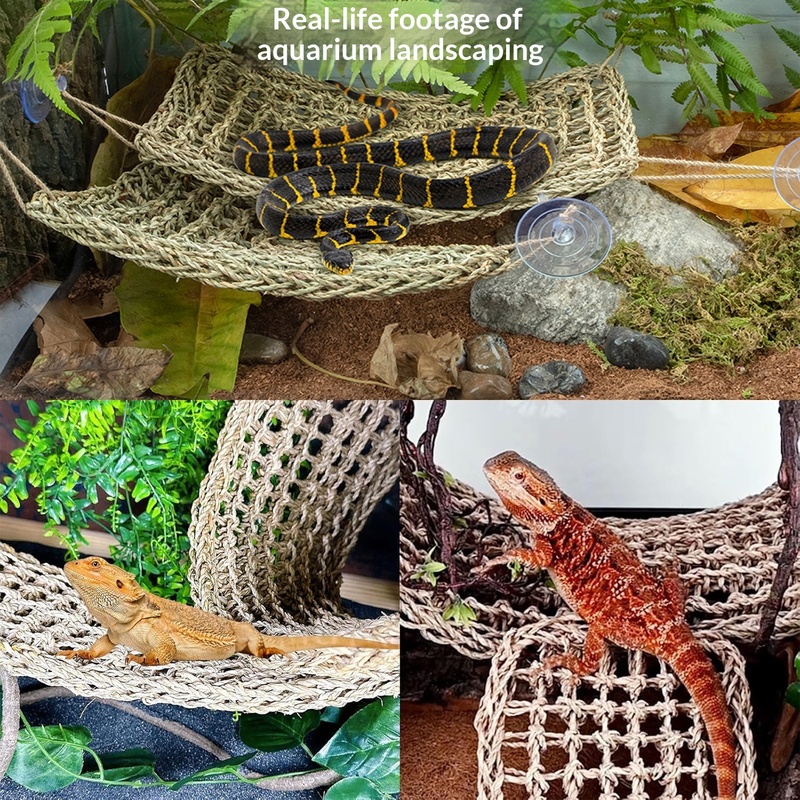 Reptile Flexible Jungle Vine D - Snake Plant ulasan dan harga