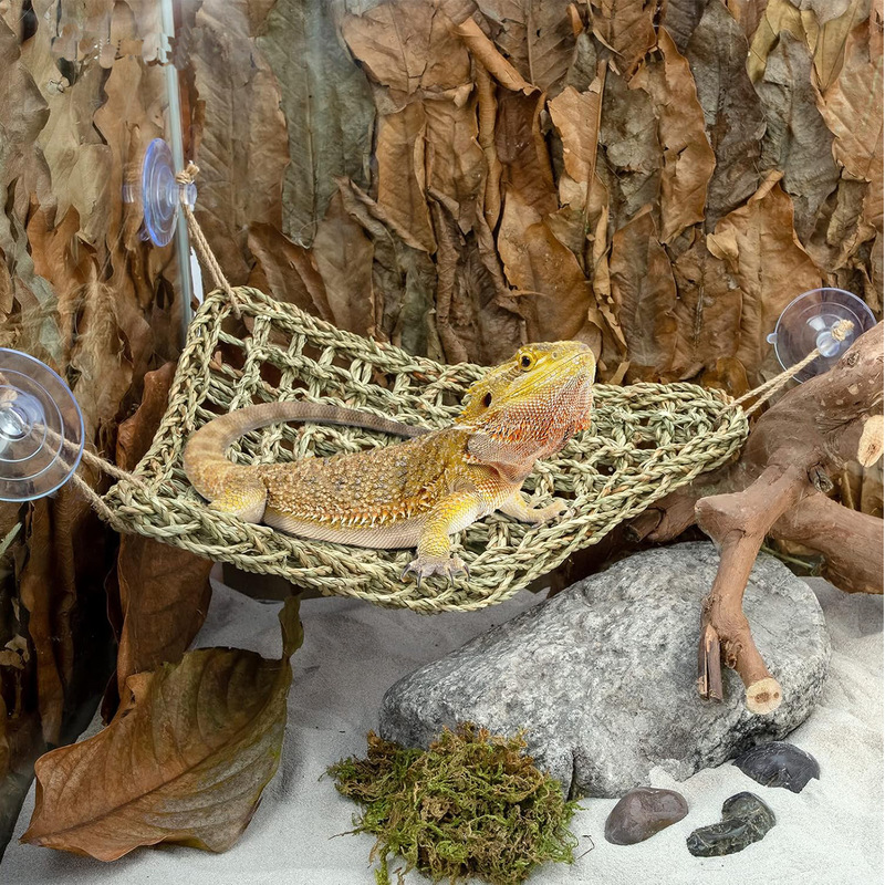 Reptile Flexible Jungle Vine D - Snake Plant ulasan dan harga