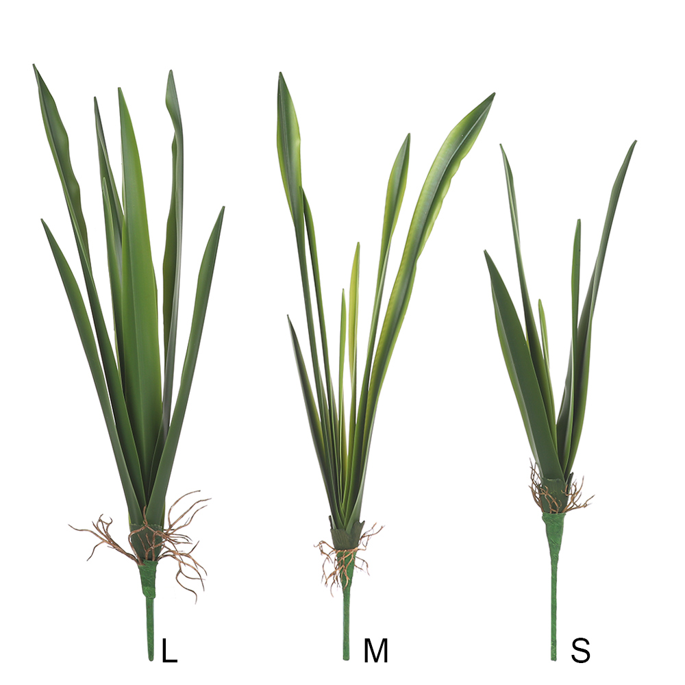 New Party Supplies High Grade  - Snake Plant ulasan dan harga