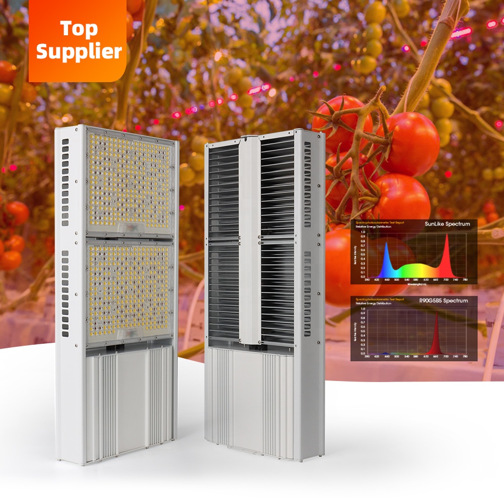 Cost-Effective 600W 800W Topli - Indoor Plants ulasan dan harga