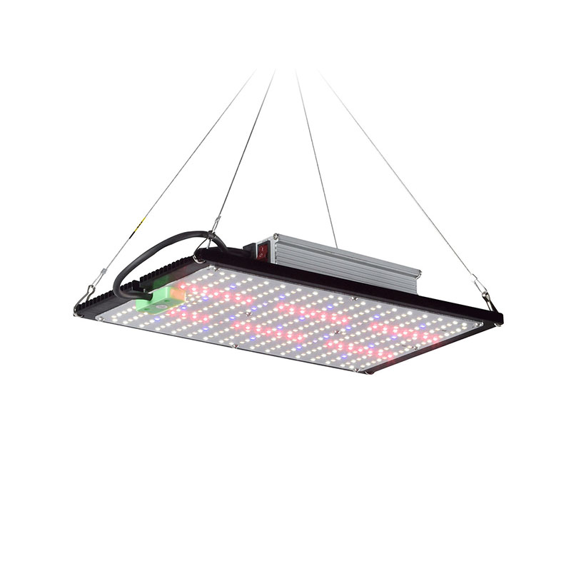 LED Quantum‑Board Grow Light F - Indoor Plants ulasan dan harga
