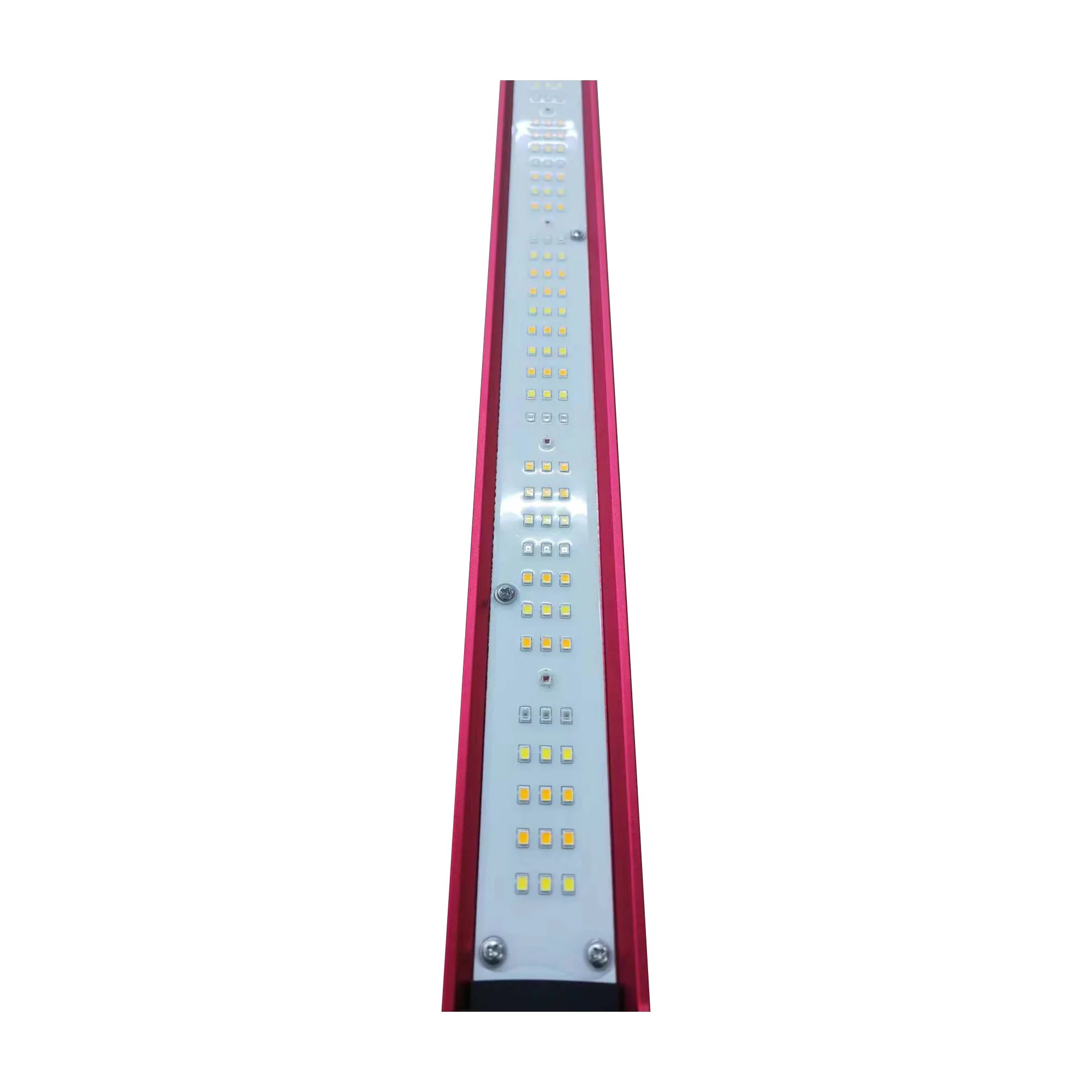 450w 600w 800w 1000Watt Indoor - Indoor Plants ulasan dan harga