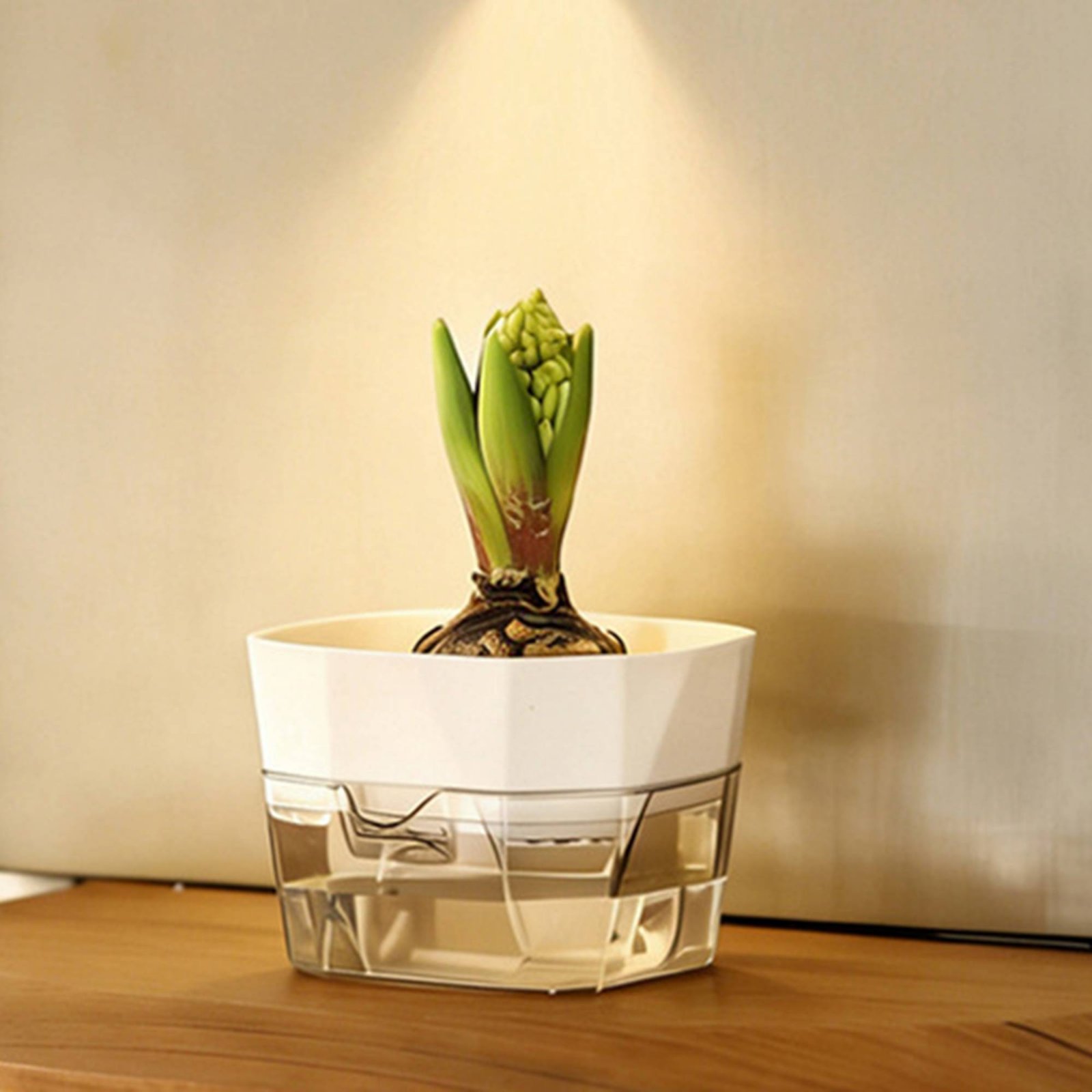 Hydroponic Bulb Vase 2-Tier De - Plant Pot ulasan dan harga