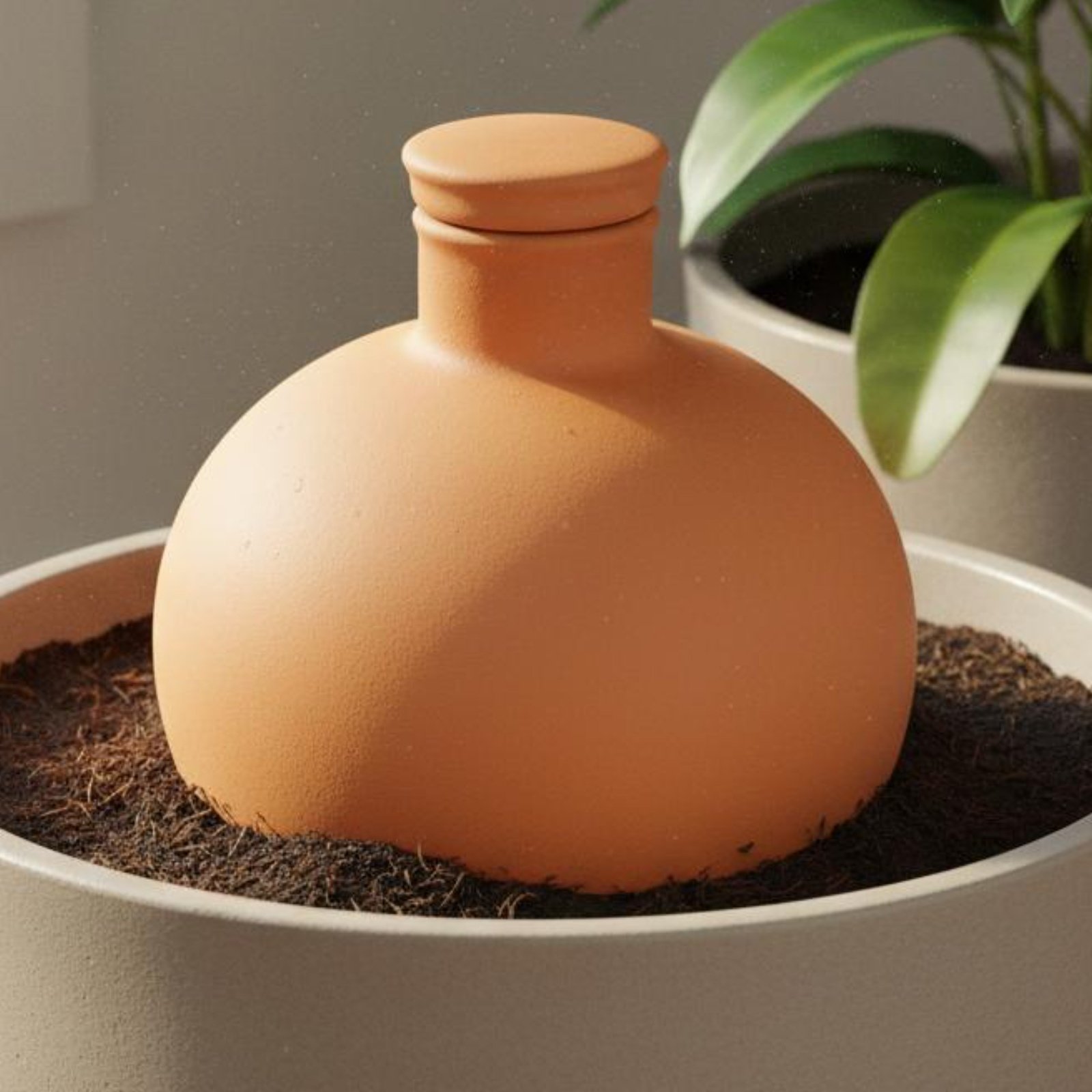 2 Pieces Terracotta Olla Easy  - Terracotta Pot ulasan dan harga