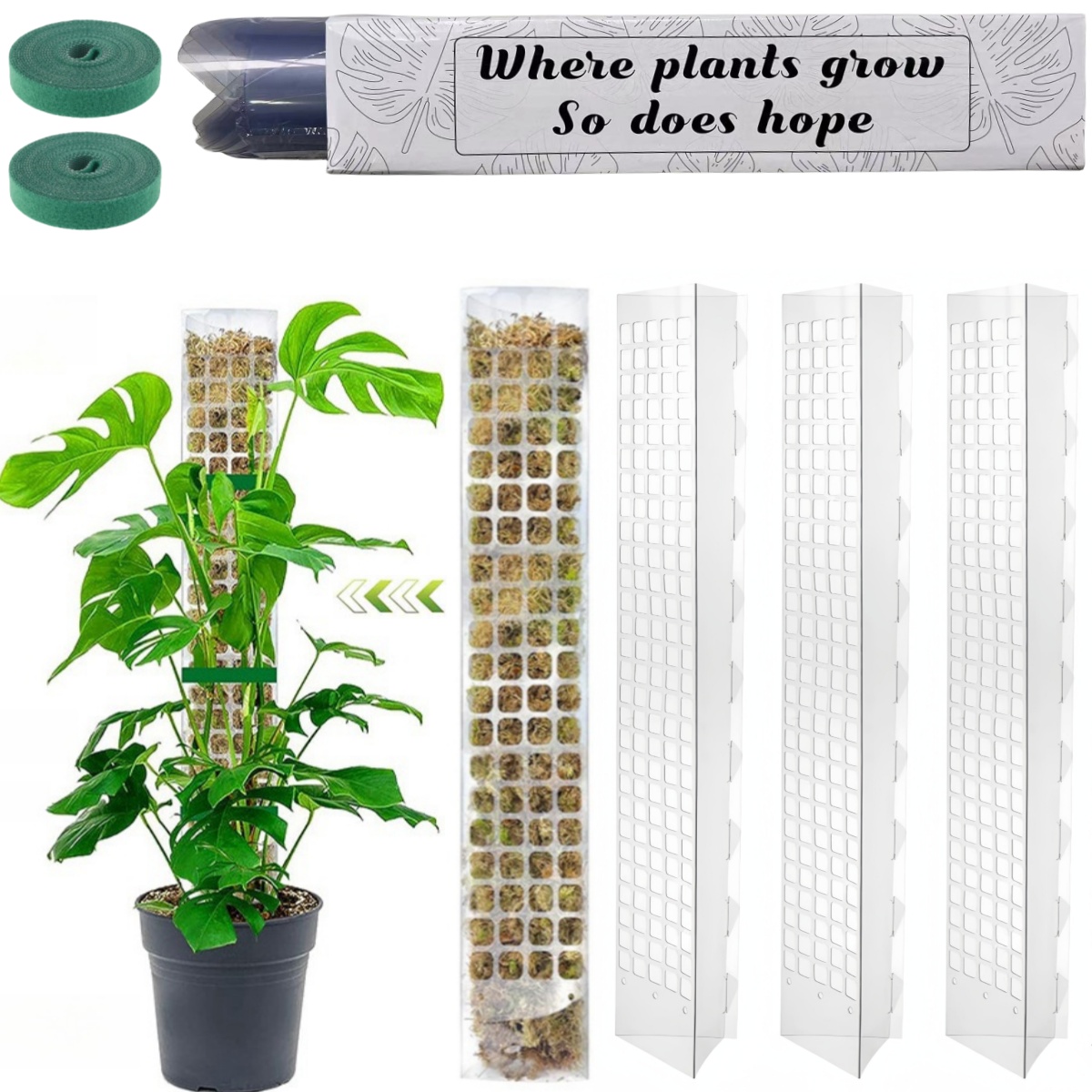 Moss Pole Plastic Plant Stand  - Plant Support Stake ulasan dan harga