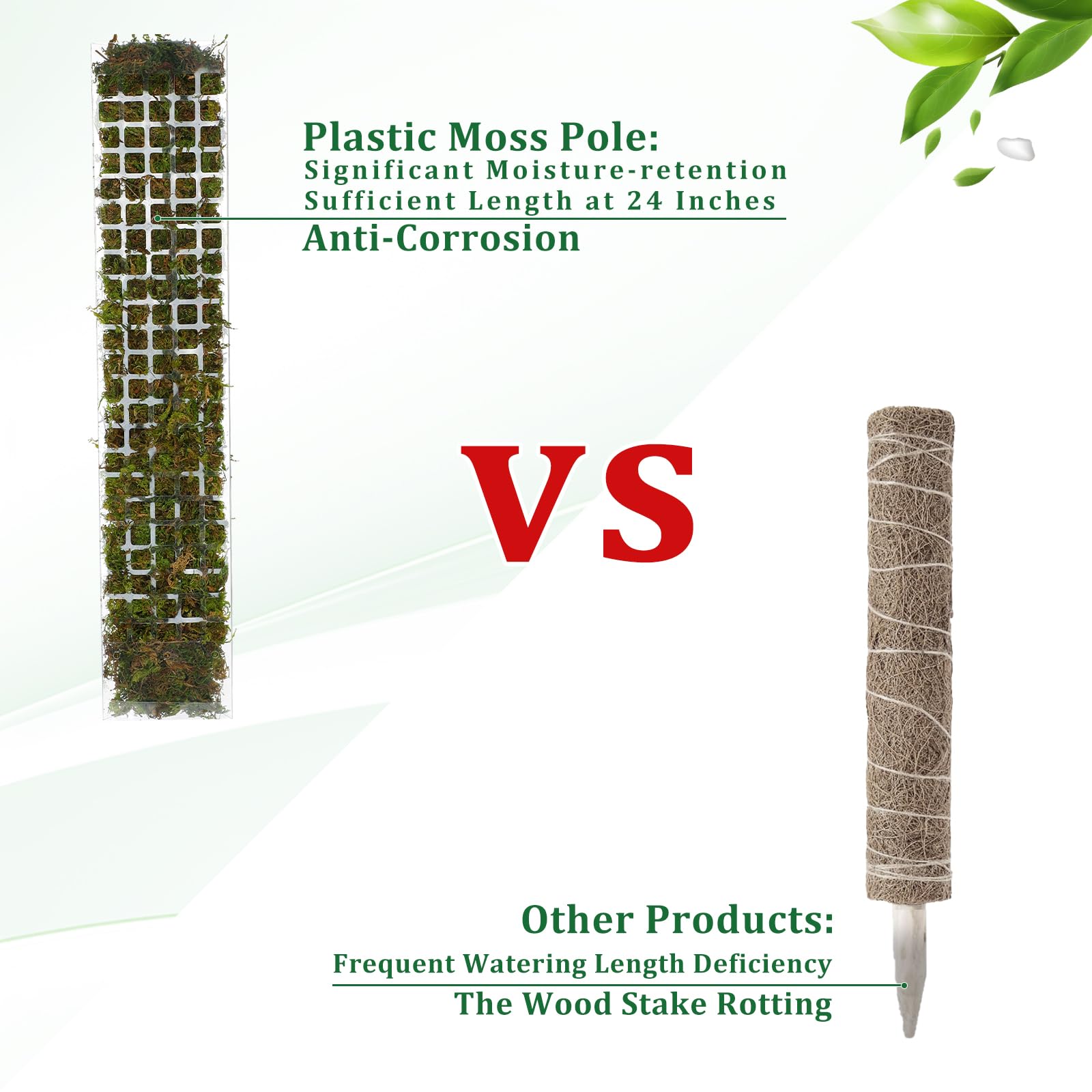 Moss Pole Plastic Plant Stand  - Plant Support Stake ulasan dan harga