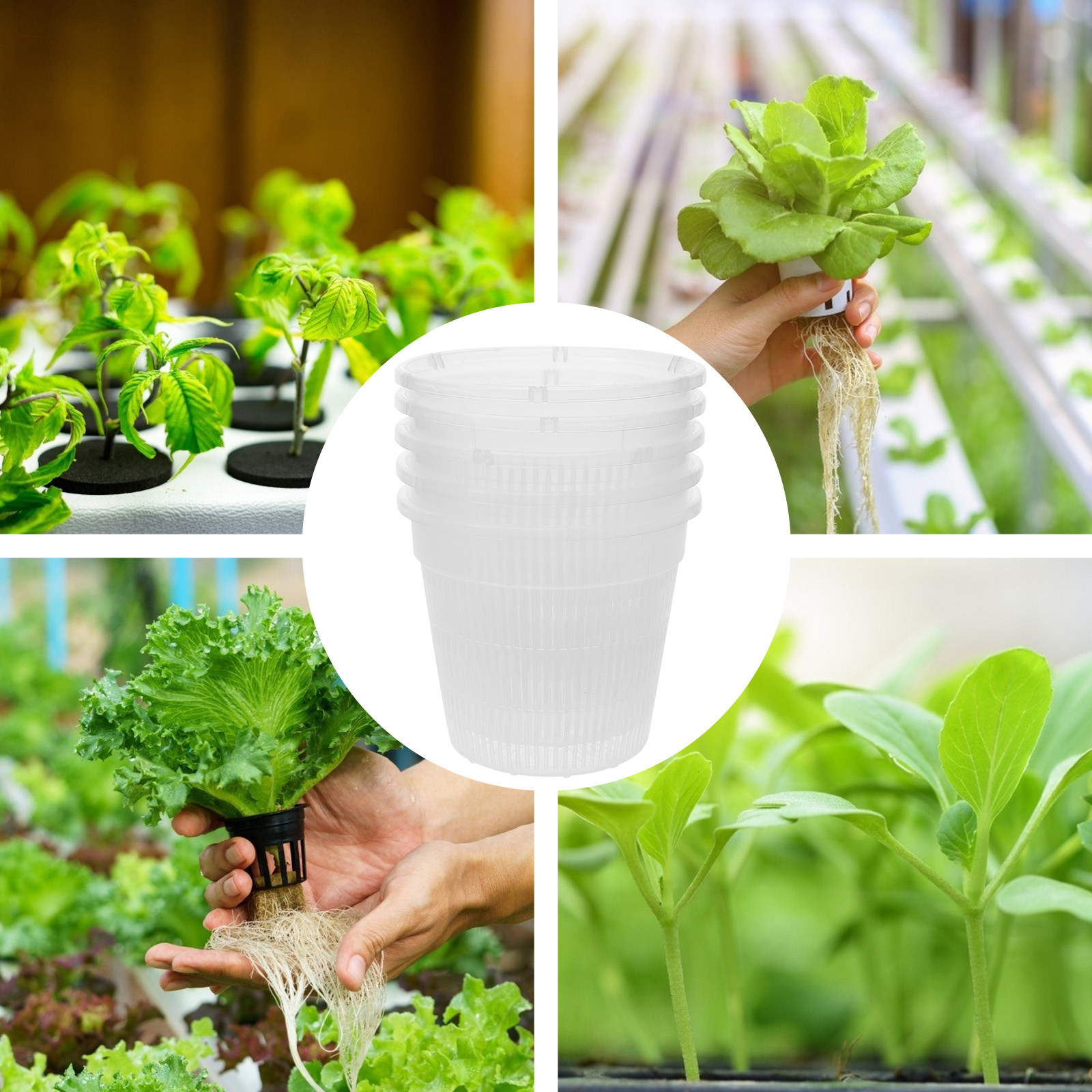 5Pcs Hydroponic Planting Net P - Plant Pot ulasan dan harga