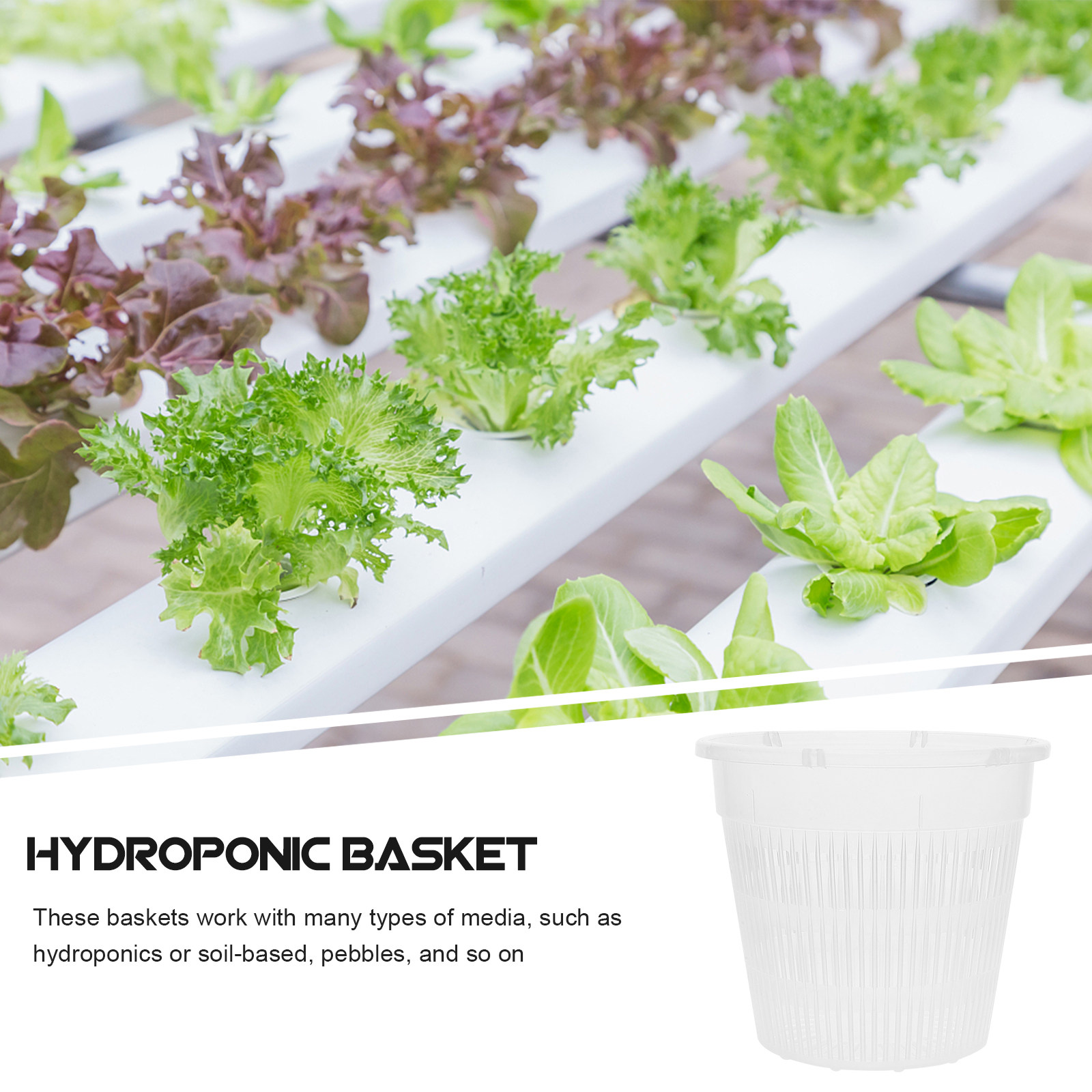 5Pcs Hydroponic Planting Net P - Plant Pot ulasan dan harga