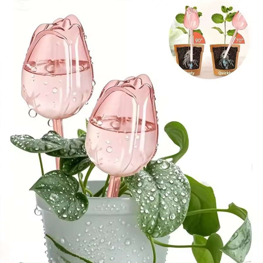 Transparent Thick PET Tulip Sh - Pothos ulasan dan harga