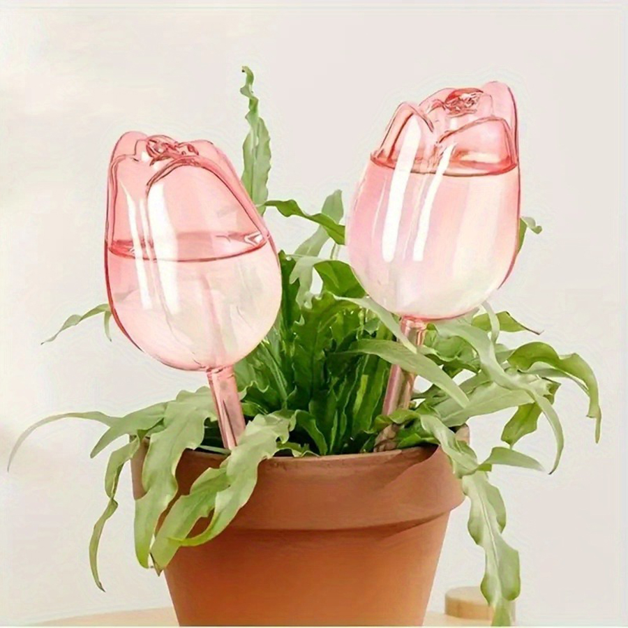 Transparent Thick PET Tulip Sh - Pothos ulasan dan harga