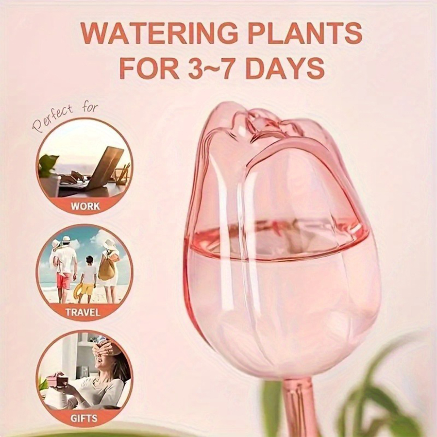 Transparent Thick PET Tulip Sh - Pothos ulasan dan harga