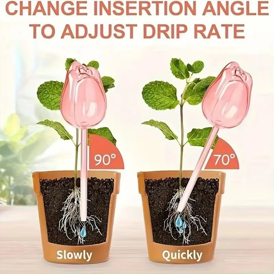 Transparent Thick PET Tulip Sh - Pothos ulasan dan harga