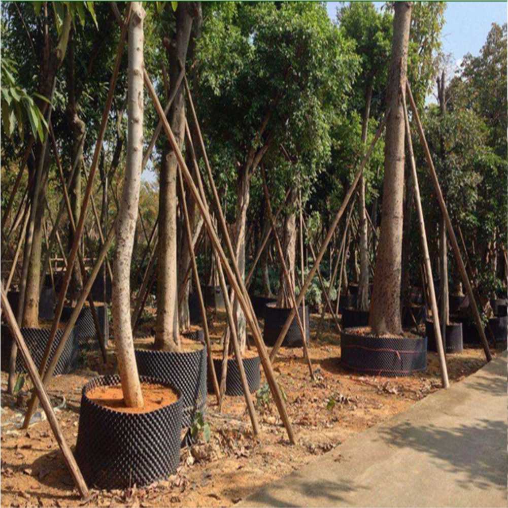 Grow Container Garden Tree Bon - Plant Pot ulasan dan harga