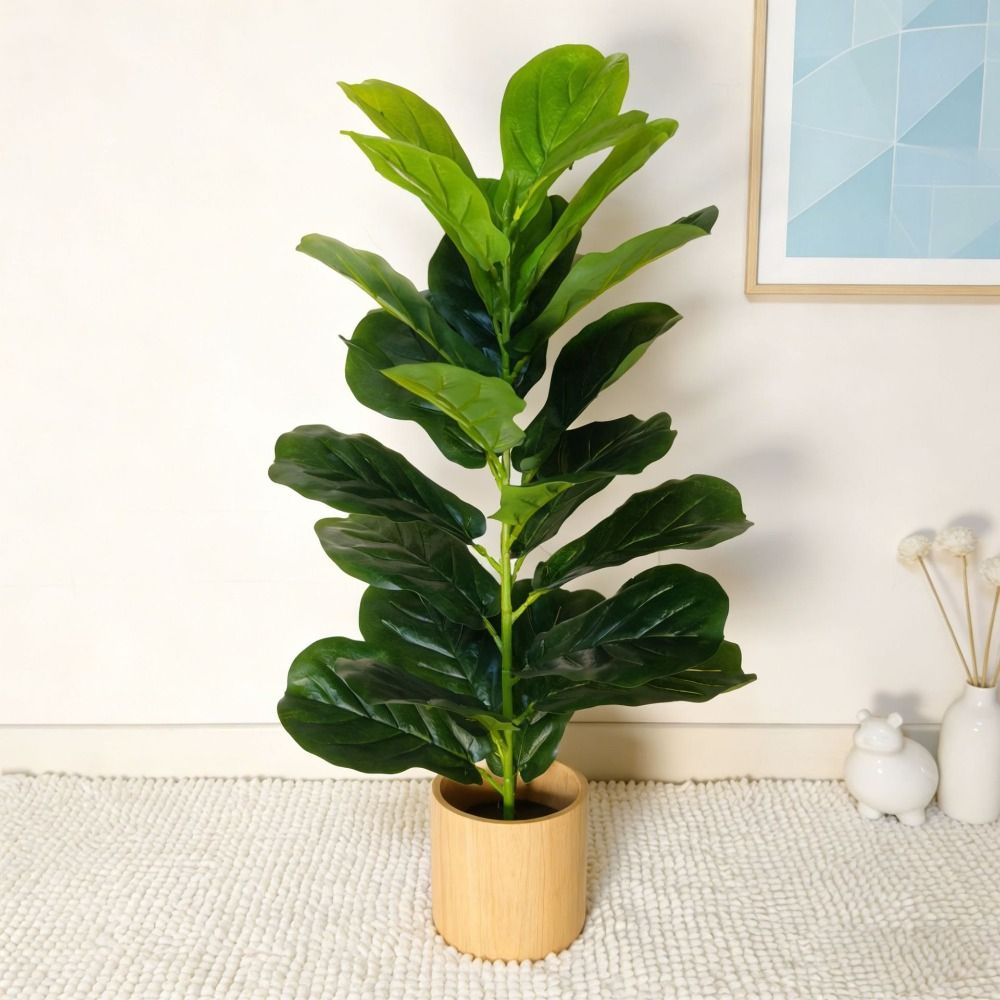 Green Plastic Artificial Ficus - Snake Plant ulasan dan harga