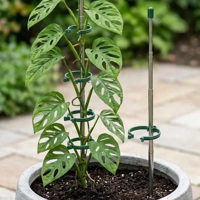 5/1PCS Retractable Plant Suppo - Plant Support Stake ulasan dan harga
