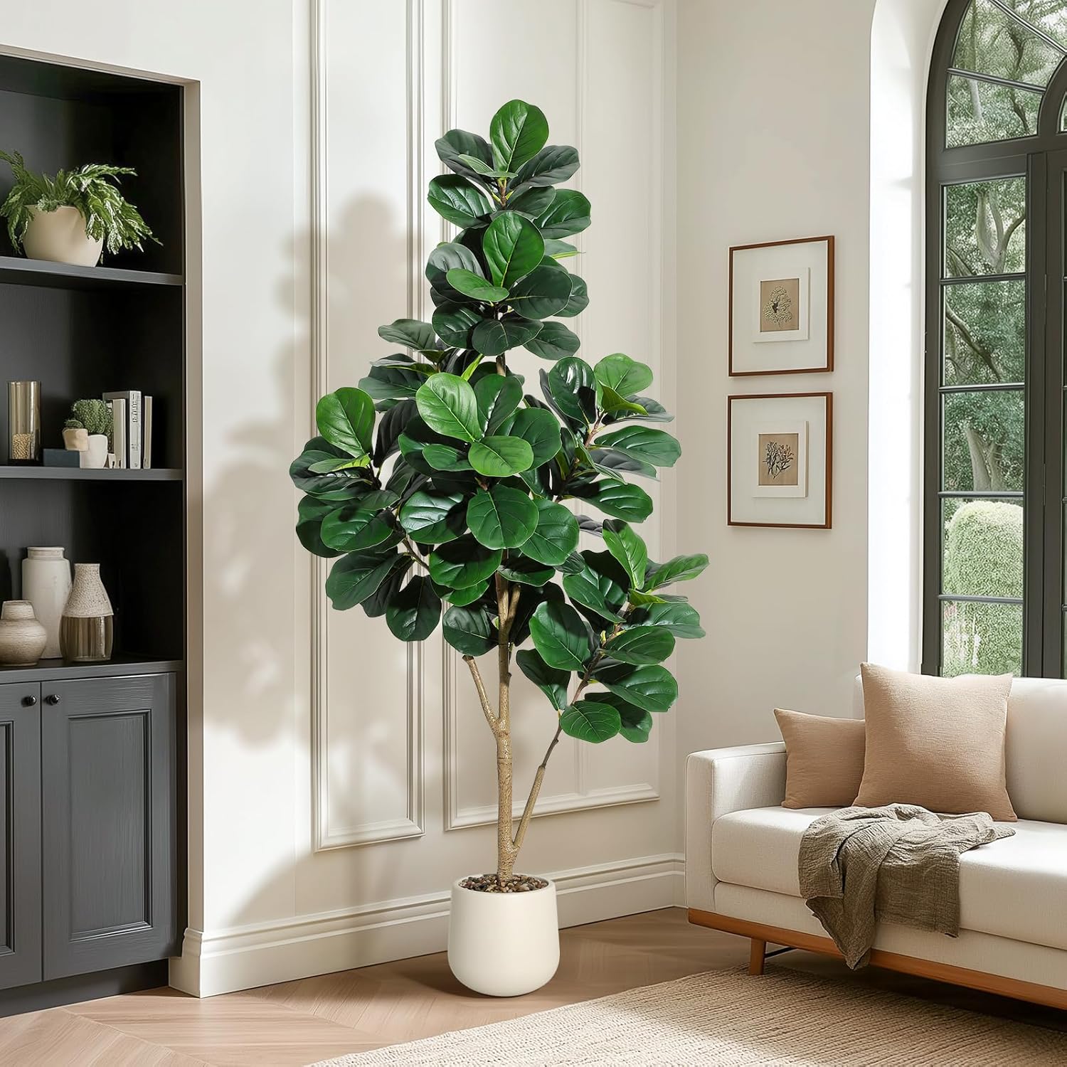 4-7 FT Fiddle Leaf Fig Tree Ar - Fiddle Leaf Fig ulasan dan harga