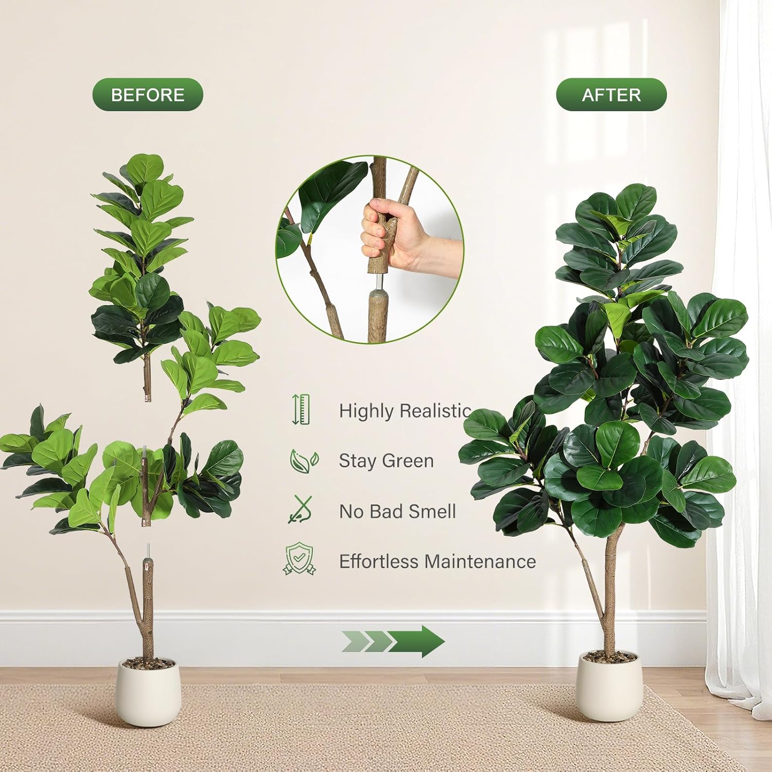 4-7 FT Fiddle Leaf Fig Tree Ar - Fiddle Leaf Fig ulasan dan harga