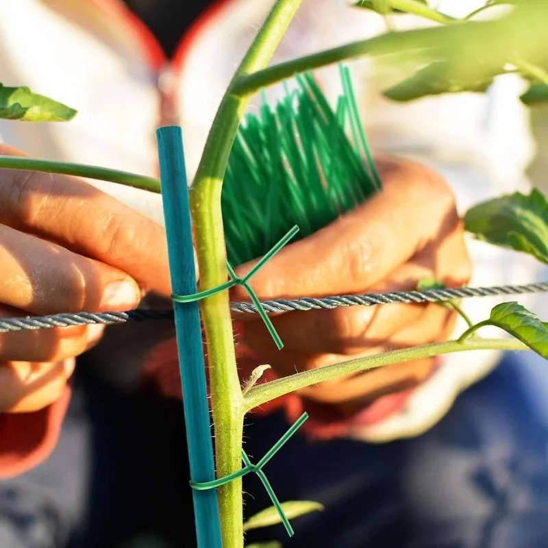 Plant Support Sticks Canes Bam - Plant Support Stake ulasan dan harga