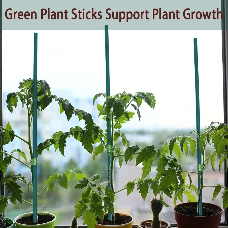 Plant Support Sticks Canes Bam - Plant Support Stake ulasan dan harga