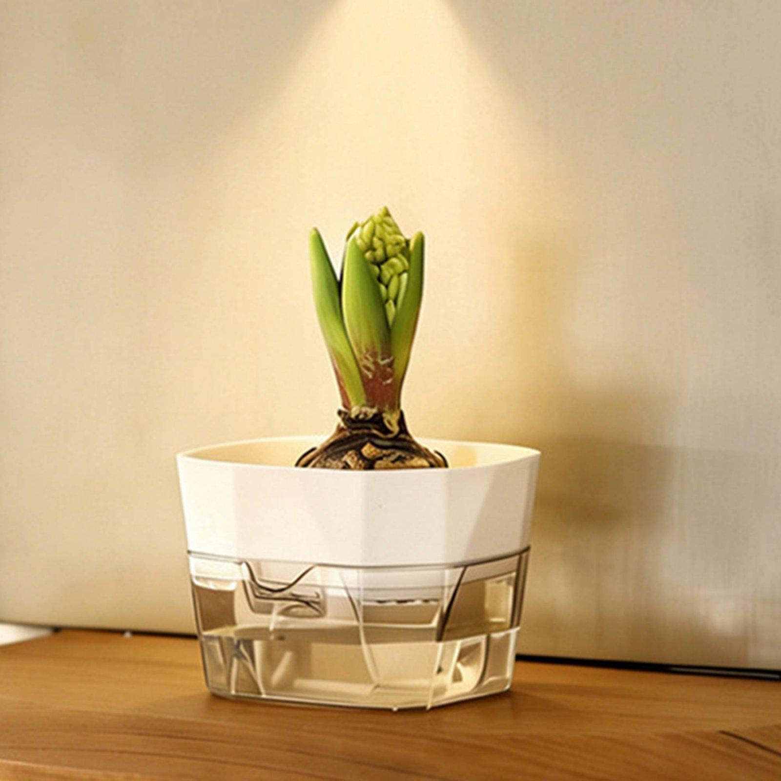 Hydroponic Vase Two Layer Self - Plant Pot ulasan dan harga