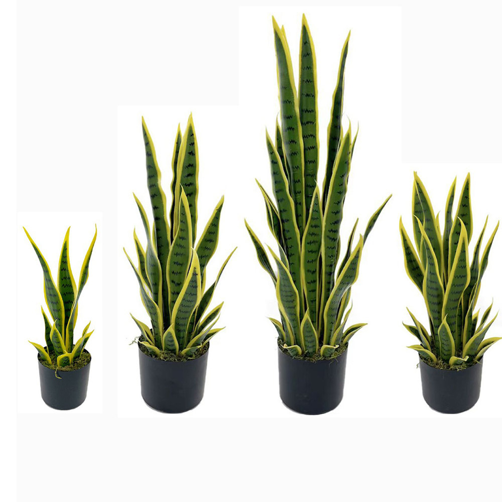 40-100cm Artificial Sansevieri - Snake Plant ulasan dan harga