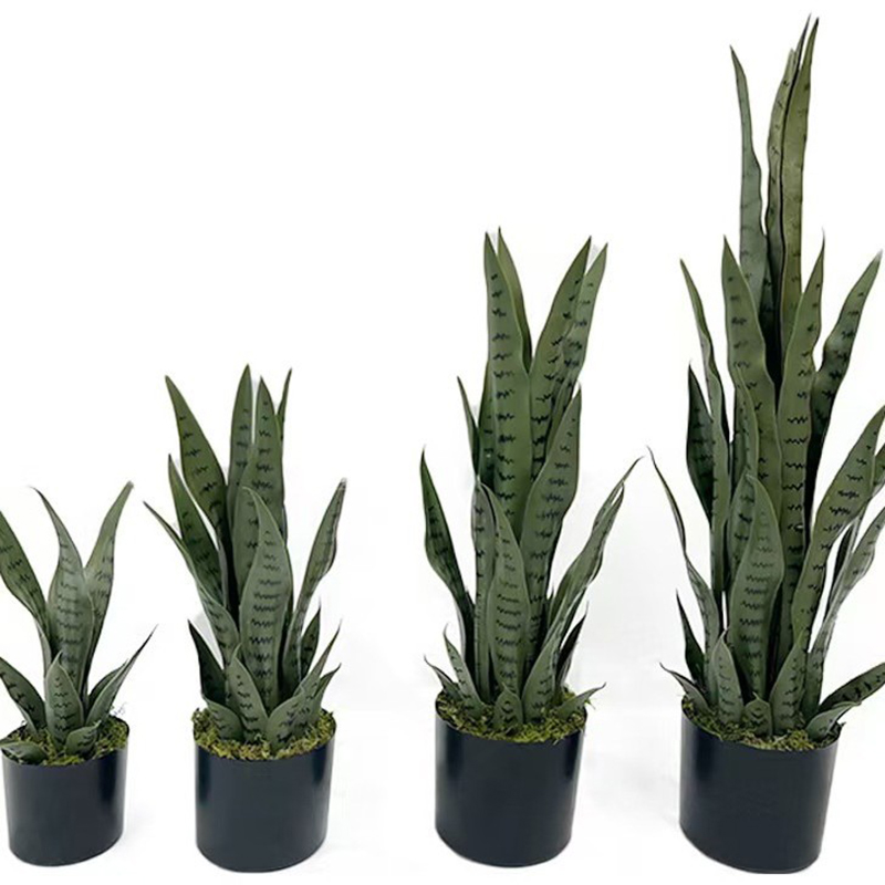 40-100cm Artificial Sansevieri - Snake Plant ulasan dan harga