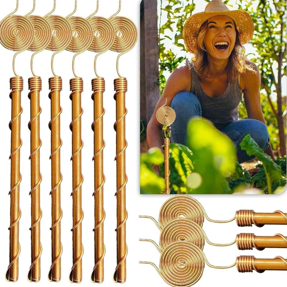 Spiral Coil Electroculture Pla - Plant Support Stake ulasan dan harga
