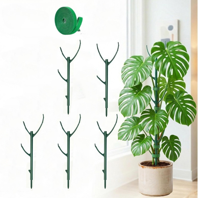 Monstera Plant Support Stakes  - Plant Support Stake ulasan dan harga