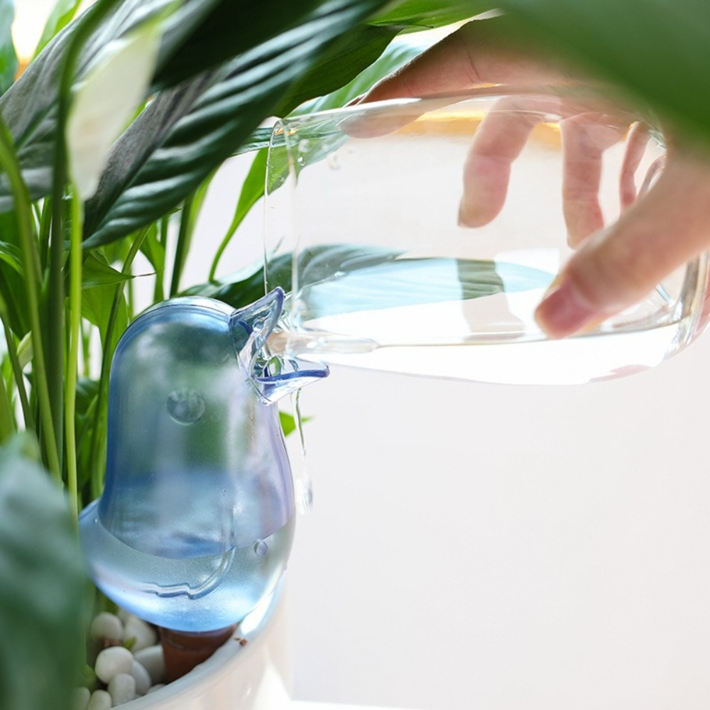 Bird Shape Plant Watering Devi - Pothos ulasan dan harga