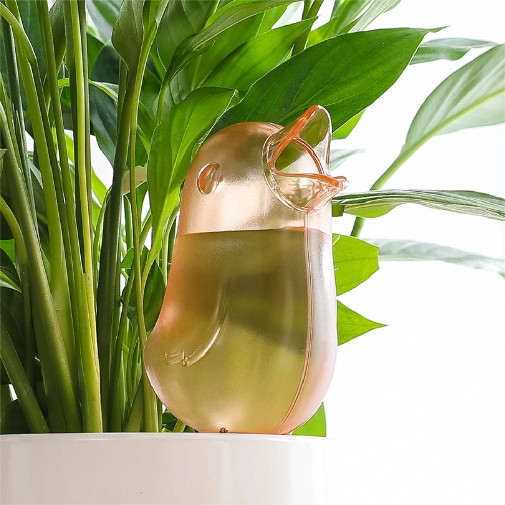 Bird Shape Plant Watering Devi - Pothos ulasan dan harga
