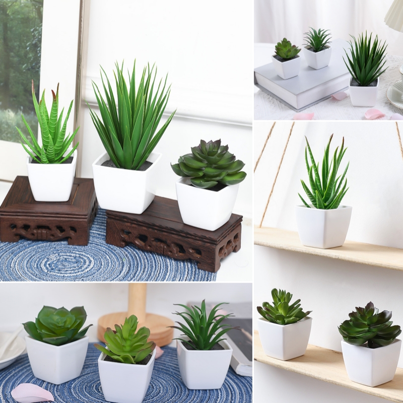 (A set of 3PCS) Simulated Mini - Succulent Set ulasan dan harga