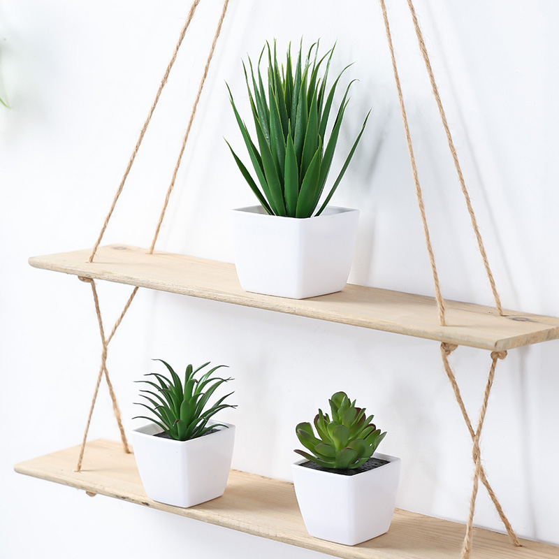 (A set of 3PCS) Simulated Mini - Succulent Set ulasan dan harga