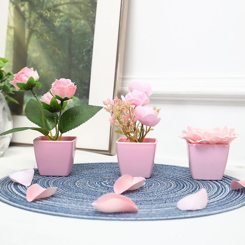 (A set of 3PCS) Simulated Mini - Succulent Set ulasan dan harga