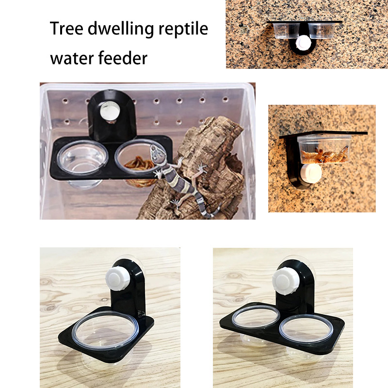 Reptile Tank Accessories Insec - Snake Plant ulasan dan harga