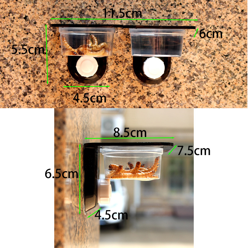 Reptile Tank Accessories Insec - Snake Plant ulasan dan harga
