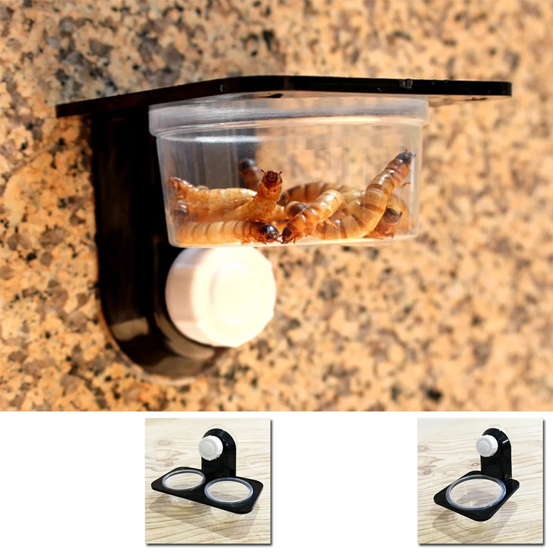 Reptile Tank Accessories Insec - Snake Plant ulasan dan harga