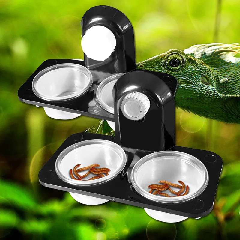 Reptile Tank Accessories Insec - Snake Plant ulasan dan harga