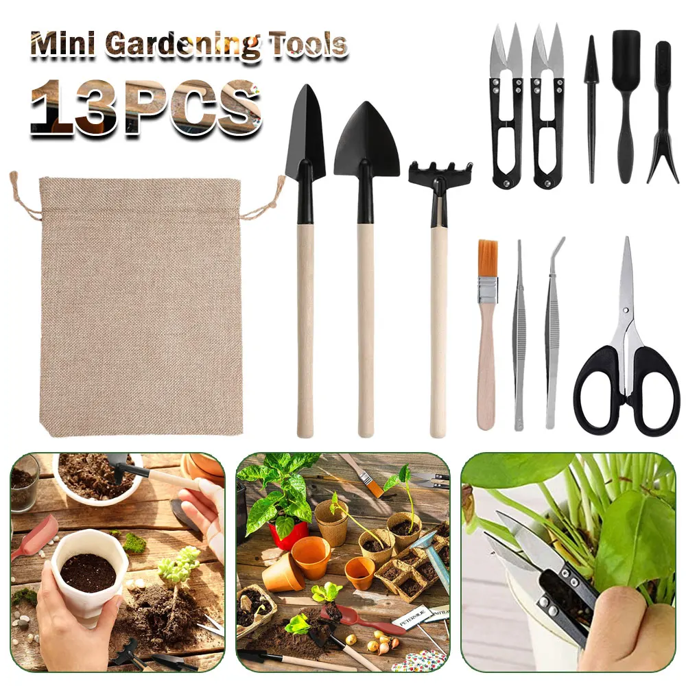 13PCS Succulent Plants Tool Se - Succulent Set ulasan dan harga