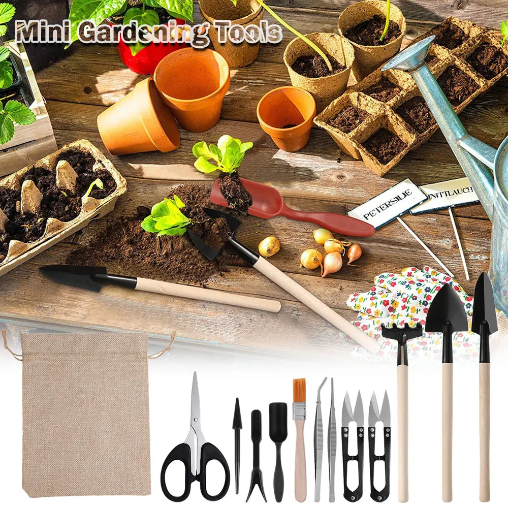 13PCS Succulent Plants Tool Se - Succulent Set ulasan dan harga