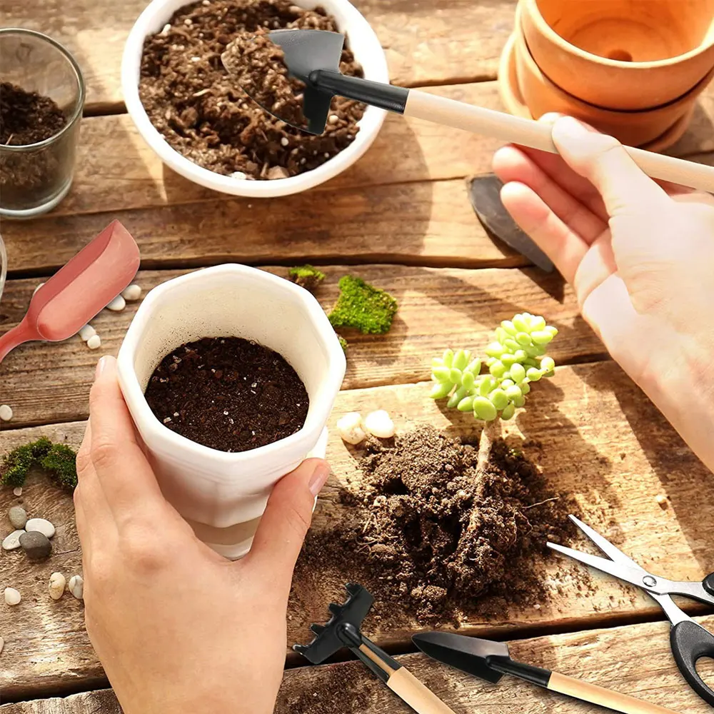 13PCS Succulent Plants Tool Se - Succulent Set ulasan dan harga