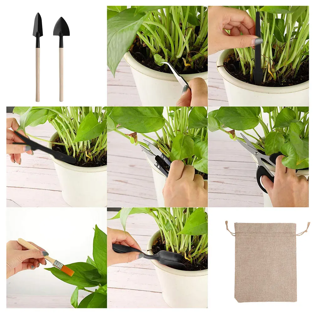 13PCS Succulent Plants Tool Se - Succulent Set ulasan dan harga