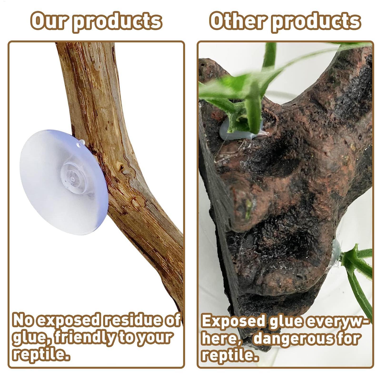 Reptile Climbing Corner Stick  - Snake Plant ulasan dan harga