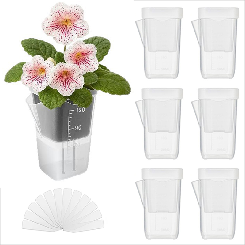 16/32 Pack Self-Watering Plant - Pothos ulasan dan harga