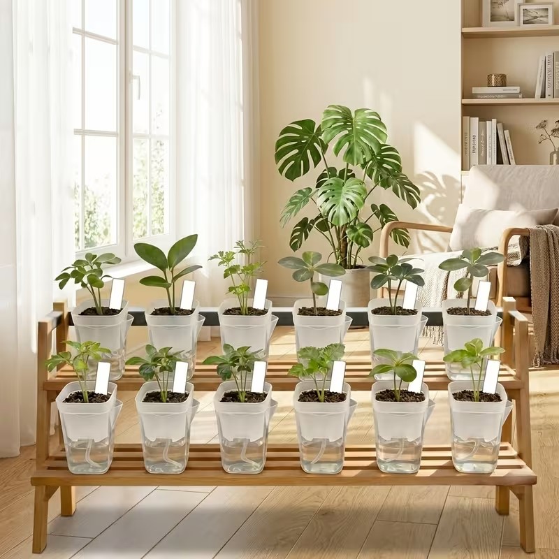 16/32 Pack Self-Watering Plant - Pothos ulasan dan harga