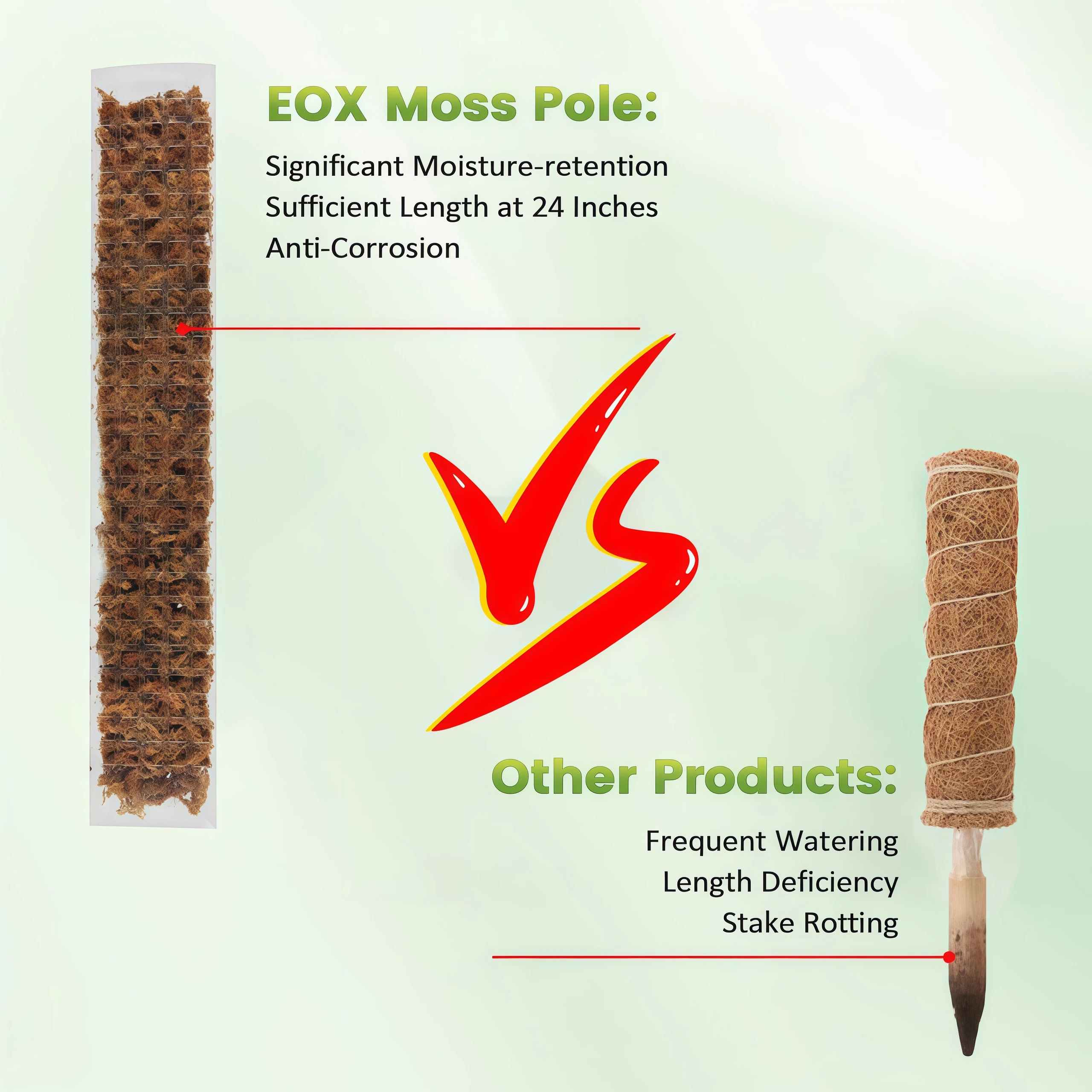 Plastic Moss Pole Plant Stand  - Plant Support Stake ulasan dan harga