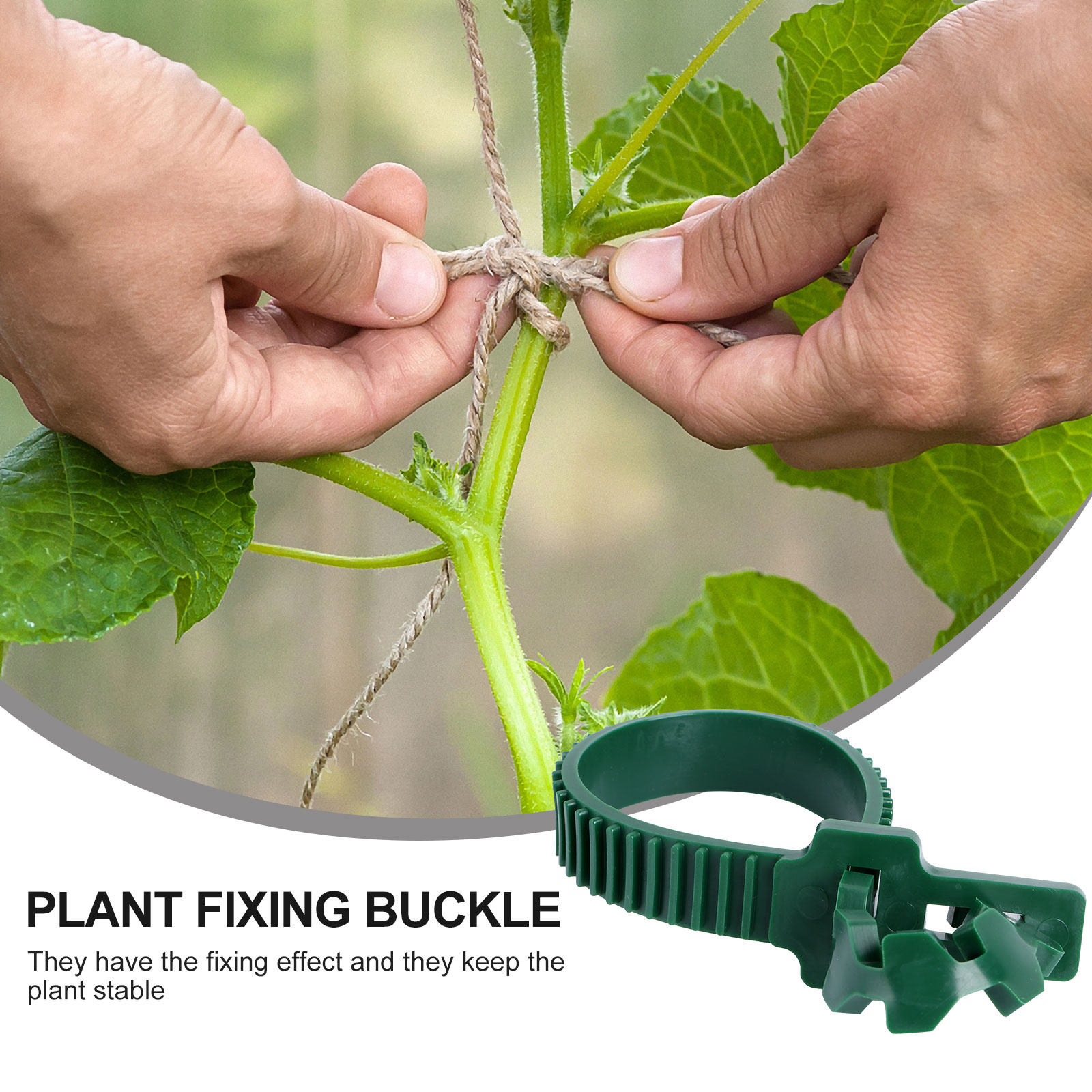 20Pcs Vine Fixing Buckle Garde - Plant Support Stake ulasan dan harga