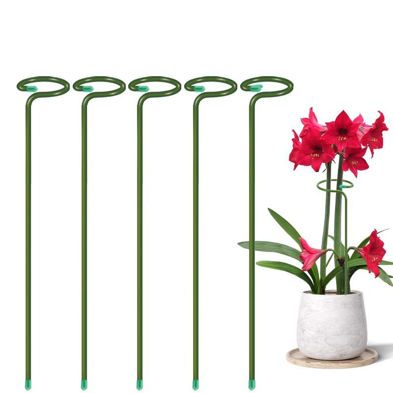 1-10pcs Metal Single Stem Plan - Plant Support Stake ulasan dan harga