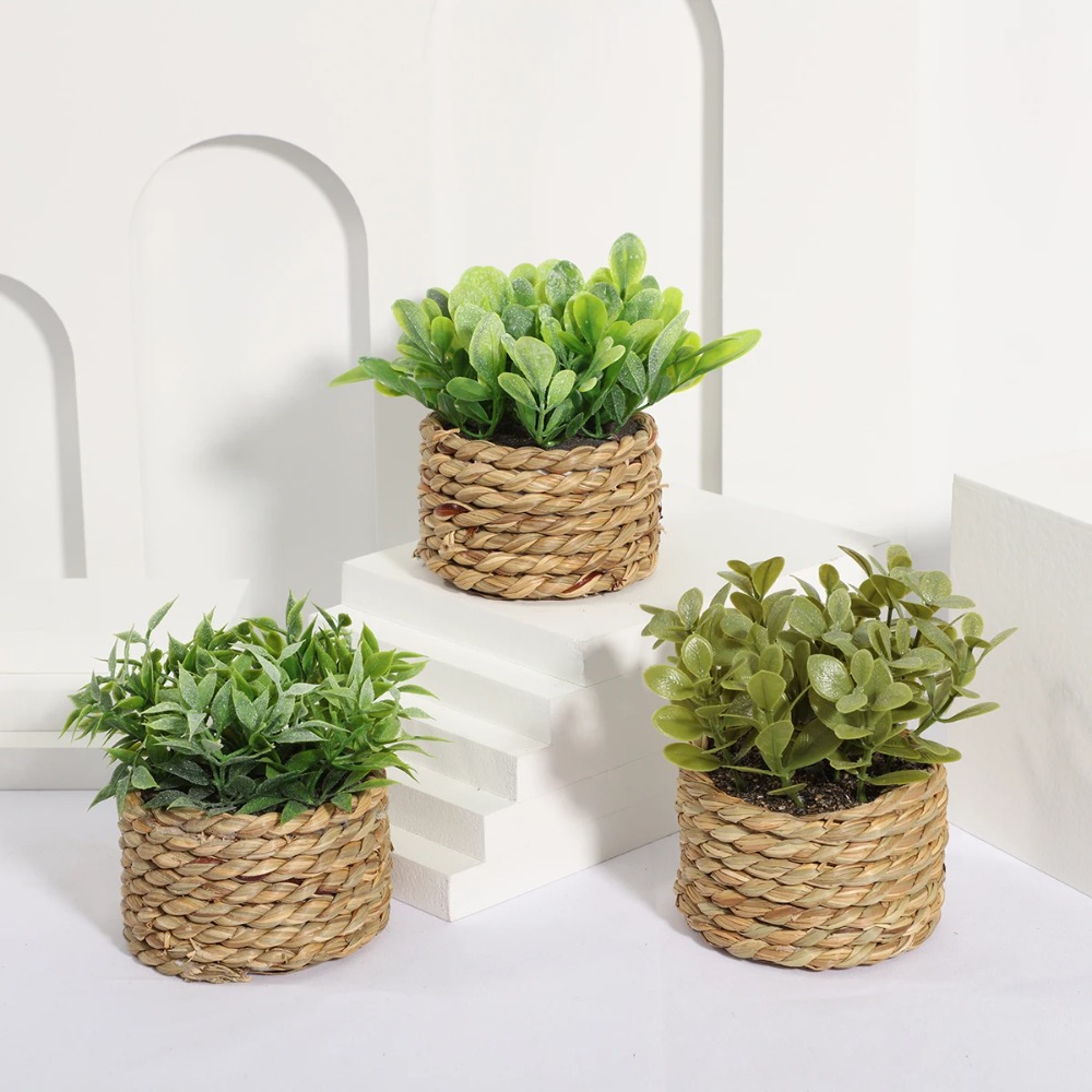 Green Artificial Potted Plant  - Succulent Set ulasan dan harga