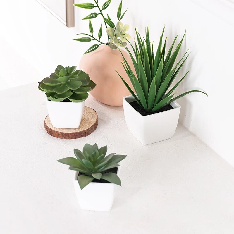 3PCS Artificial Evergreen Plan - Succulent Set ulasan dan harga
